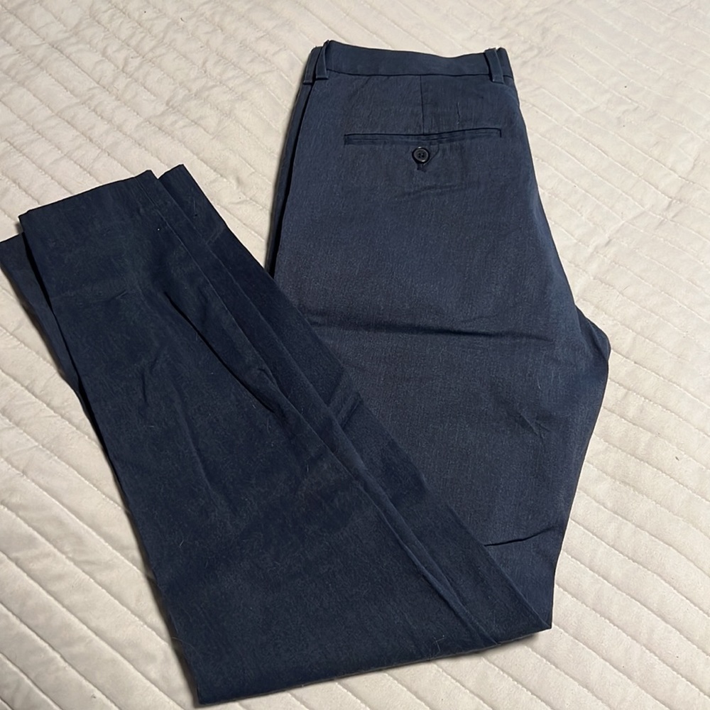 Express Dress pants